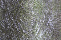 Lower Catesby fibreglass roof work